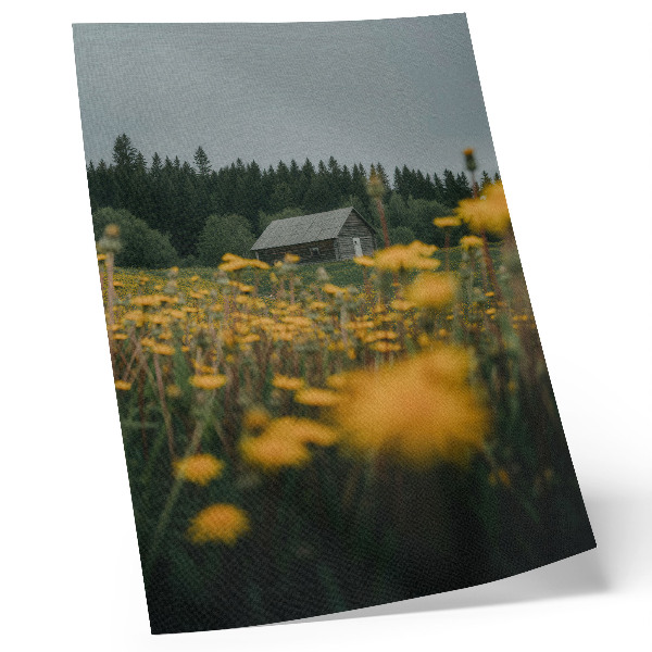 Premium wall art Rustic cottage forest yellow flowers blur