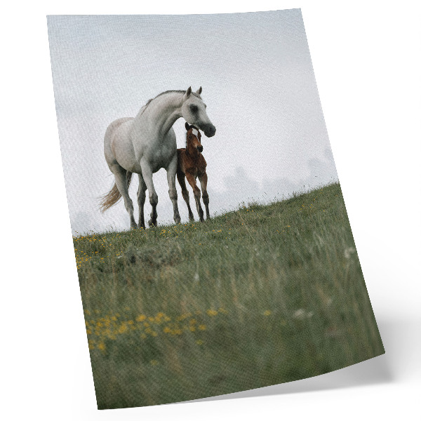 Premium wall art The beauty of nature with the soothing sight of horses