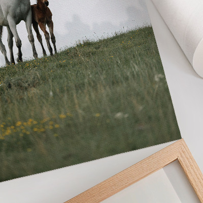 Premium wall art The beauty of nature with the soothing sight of horses