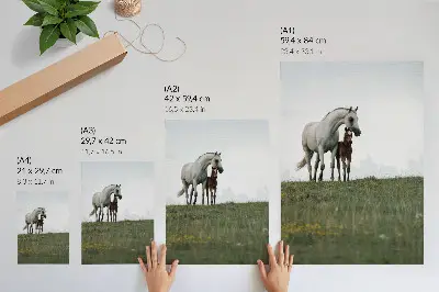 Premium wall art featuring the beauty of nature and soothing horses