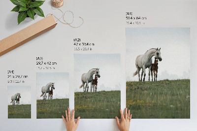 Premium wall art The beauty of nature with the soothing sight of horses
