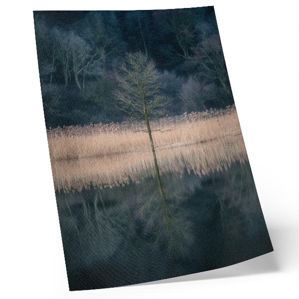 Art print Single tree reflection lake fog