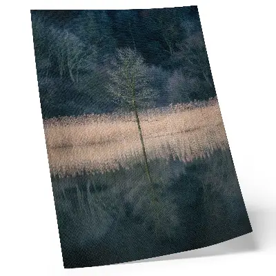 Art Print single tree reflection on a foggy lake