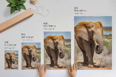 Premium wall art Elephant on the savannah, majestic African nature