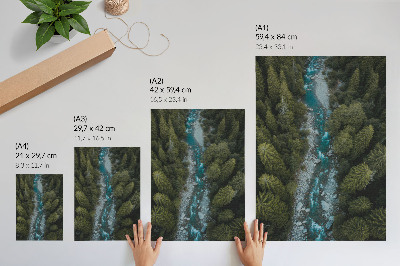 Premium wall art Green forest river natural harmony