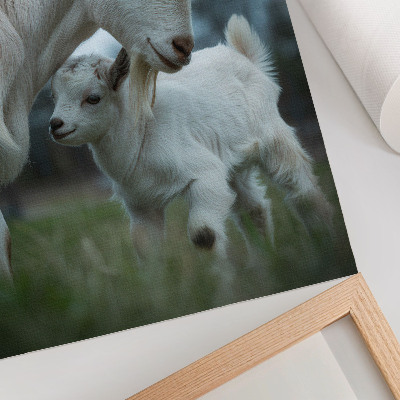 Poster Goats against the backdrop of nature, full of peace and harmony