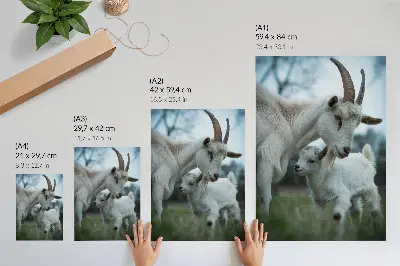 Poster goats against a peaceful natural backdrop