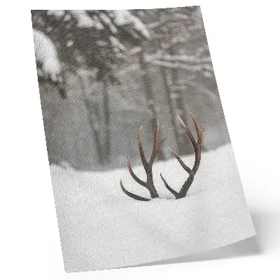 Premium wall art winter landscape featuring antlers in the snow