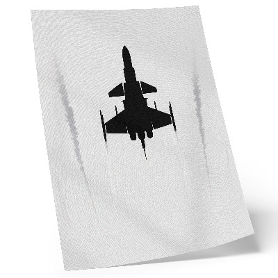 Decorative poster Black plane on white background contrast minimalism