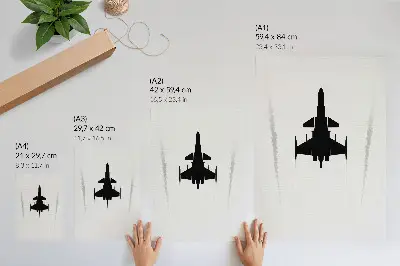 Decorative poster minimalist black plane on a white background