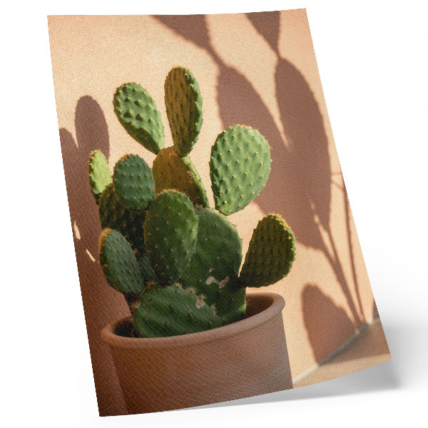 Poster Cactus in a pot, shadows, delicate colors, calming