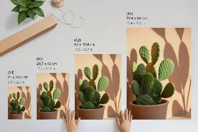 Poster cactus in a pot with soft shadows in delicate calming colors