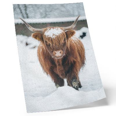 Art print Cattle in the snow: the contrast of animal and nature