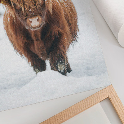 Art print Cattle in the snow: the contrast of animal and nature