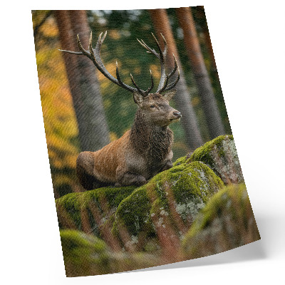 Poster A majestic deer in a forest setting
