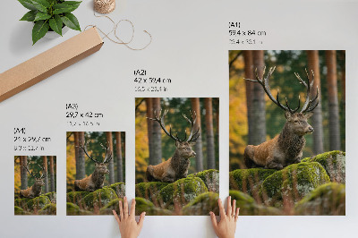 Poster A majestic deer in a forest setting