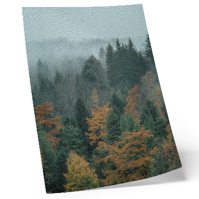 Poster Green trees fog orange leaves peace