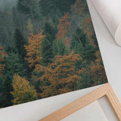 Poster Green trees fog orange leaves peace