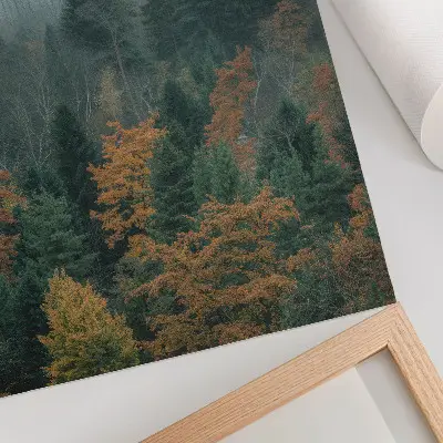 Poster green trees in a foggy forest with orange leaves