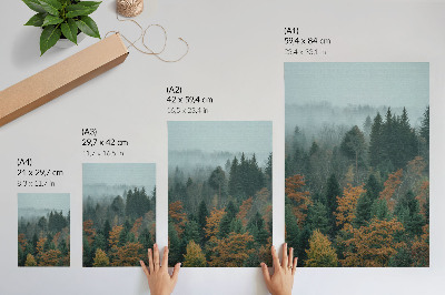 Poster Green trees fog orange leaves peace