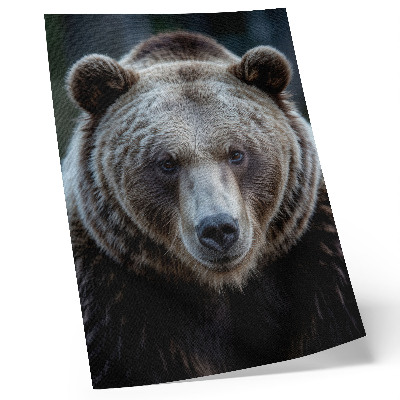 Poster Realistic portrait of a bear, calm and strong
