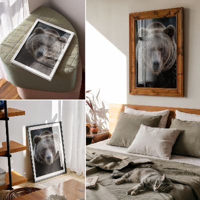 Poster Realistic portrait of a bear, calm and strong