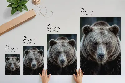 Realistic bear portrait poster calm and strong bear illustration