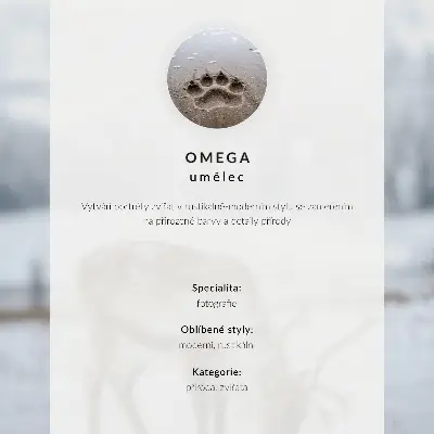 Realistic bear portrait poster calm and strong bear illustration