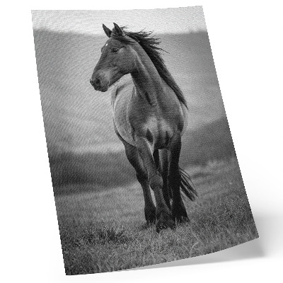 Art print A charming horse full of energy and grace