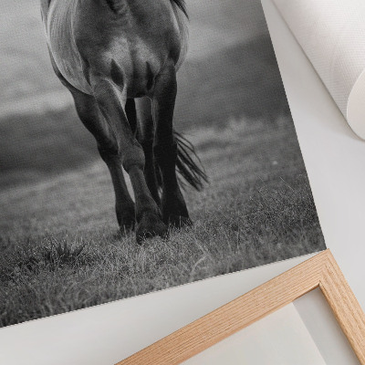 Art print A charming horse full of energy and grace