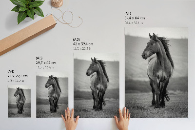 Art print A charming horse full of energy and grace