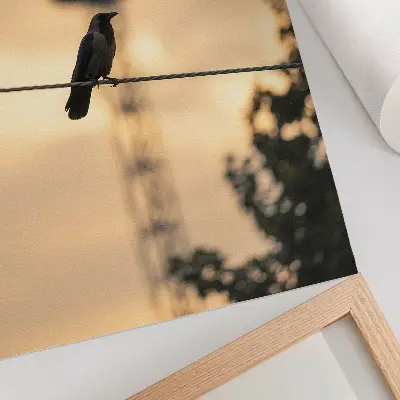 Premium wall art bird on a wire at sunset with a delicate background