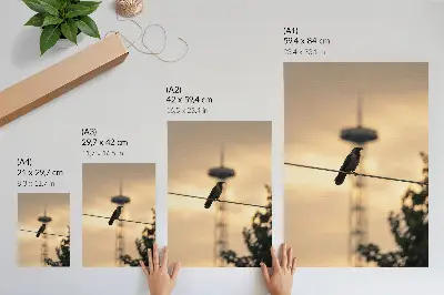 Premium wall art bird on a wire at sunset with a delicate background