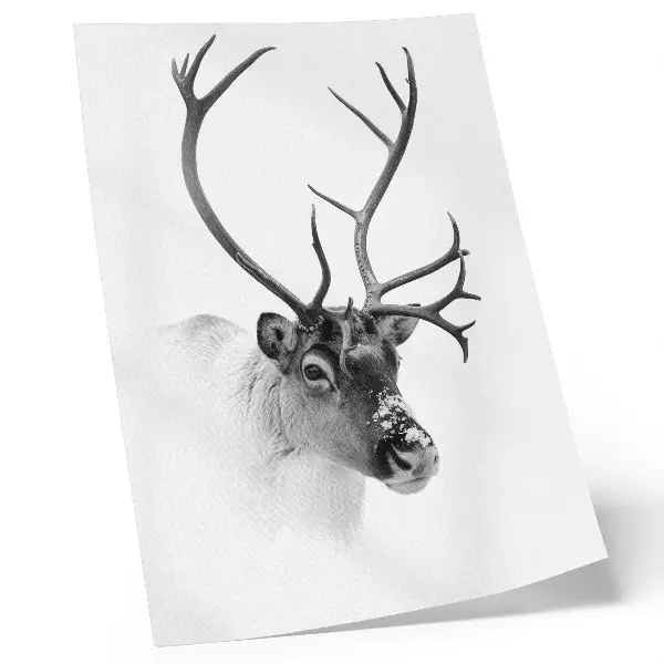 Majestic Reindeer premium wall art black and white contrast