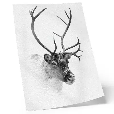 Majestic Reindeer premium wall art black and white contrast