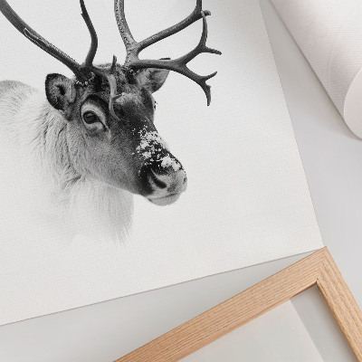 Premium wall art Black and white contrasts majestic reindeer
