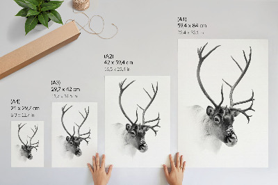 Premium wall art Black and white contrasts majestic reindeer