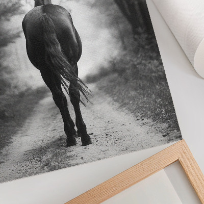 Decorative poster Black and white horse in the forest photography