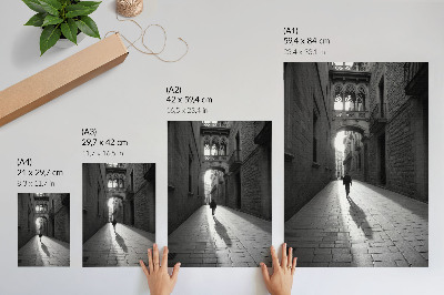 Decorative poster Black and white photography of a street with architecture