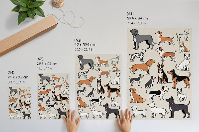 Decorative poster Colorful dogs full of joy and diversity
