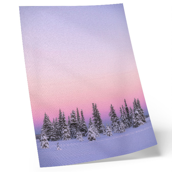 Decorative poster Winter trees moody pastel sky peace