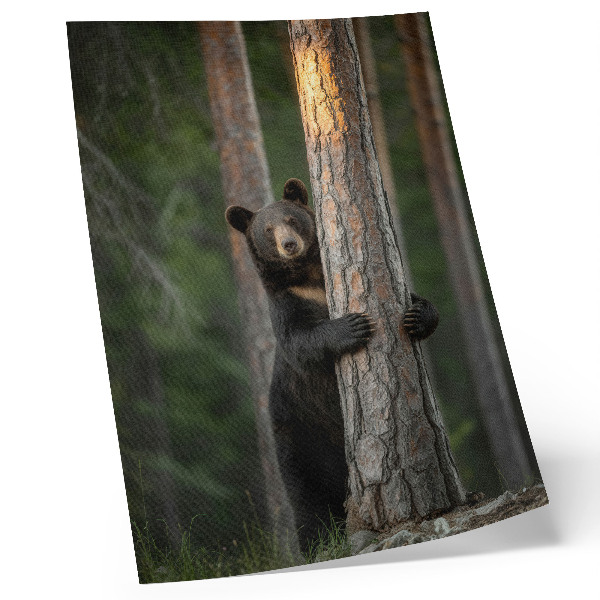 Premium wall art Bear in the forest realistic composition