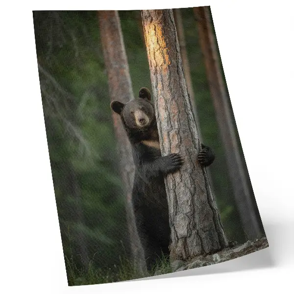 Bear in the forest realistic wall art premium composition