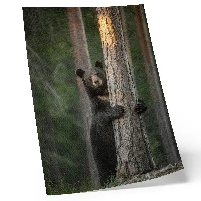 Bear in the forest realistic wall art premium composition