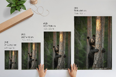 Premium wall art Bear in the forest realistic composition