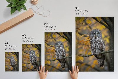 Art print Owl on a branch of yellow leaves