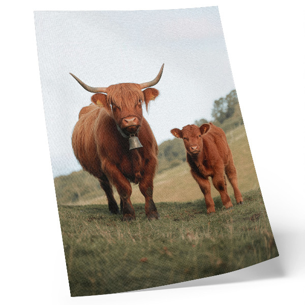 Art print Rustic cattle against a background of greenery and trees