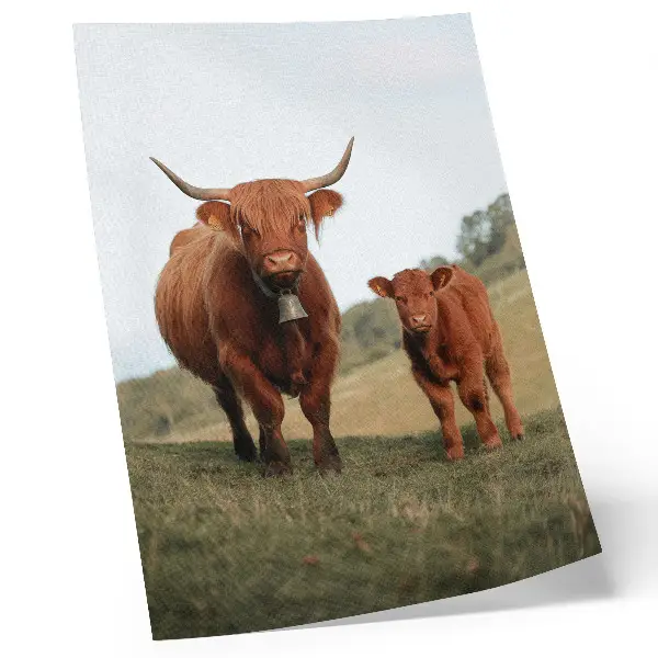 Art print rustic cattle in a green forest setting