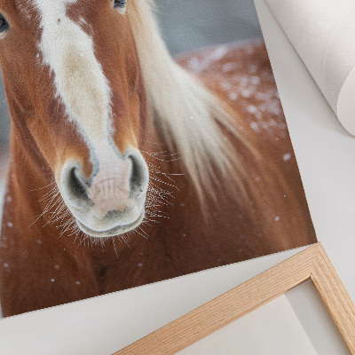 Art print Horse portrait winter peace naturalness harmony