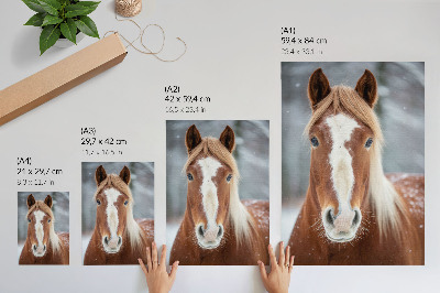 Art print Horse portrait winter peace naturalness harmony